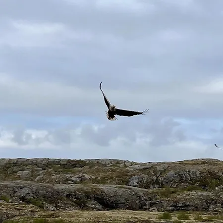 Family With Views Of Donnamannen Mountain Dom wakacyjny *